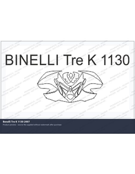 PPF Template - BINELLI Tre K 1130 2007
