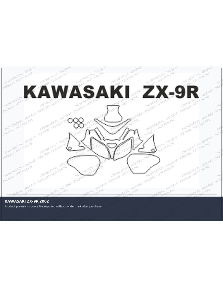 PPF Template - KAWASAKI ZX-9R 2002