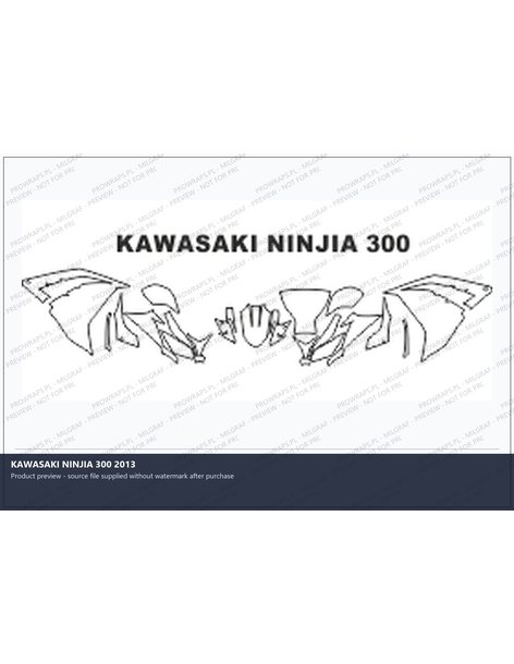 PPF Template - KAWASAKI NINJIA 300 2013