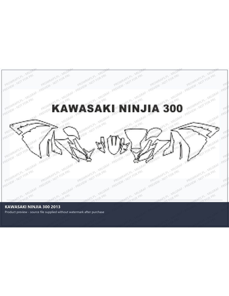 PPF Template - KAWASAKI NINJIA 300 2013