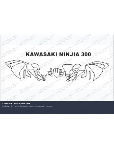 PPF Template - KAWASAKI NINJIA 300 2013