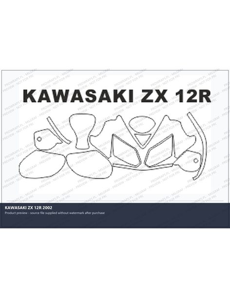 PPF Template - KAWASAKI ZX 12R 2002