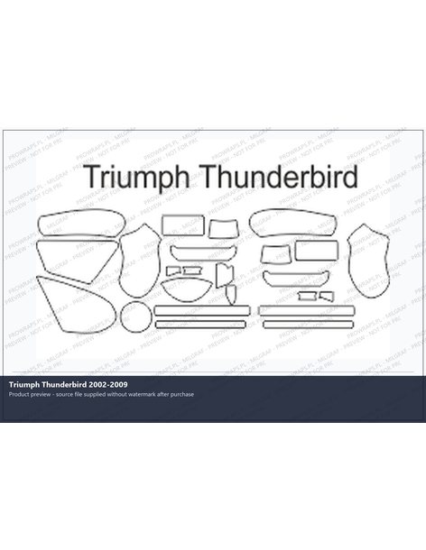PPF Template - Triumph Thunderbird 2002-2009