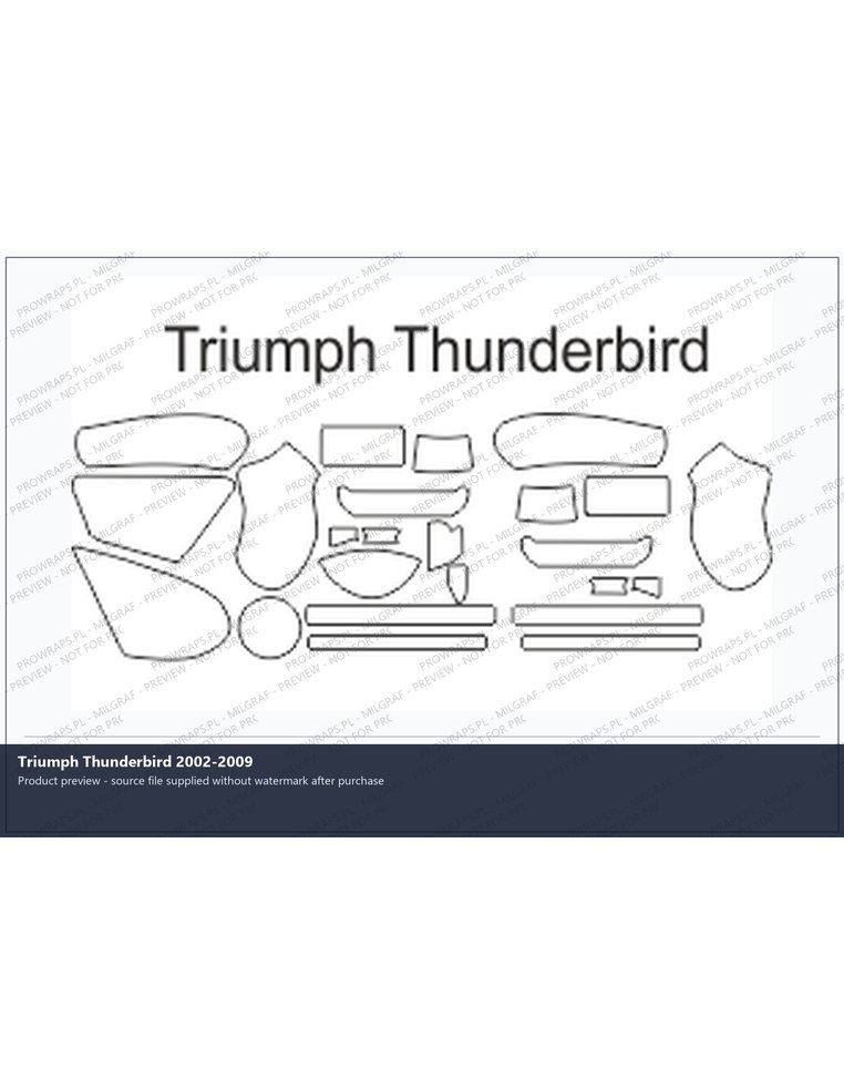 PPF Template - Triumph Thunderbird 2002-2009