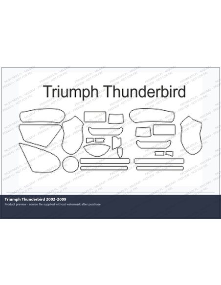 PPF Template - Triumph Thunderbird 2002-2009