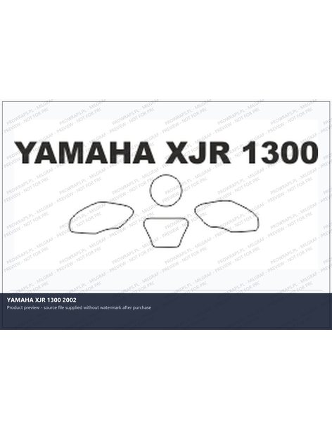 PPF Template - YAMAHA XJR 1300 2002