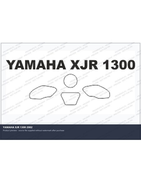PPF Template - YAMAHA XJR 1300 2002