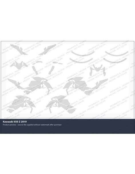 PPF Template - 2019 KAWASAKI 650 Z