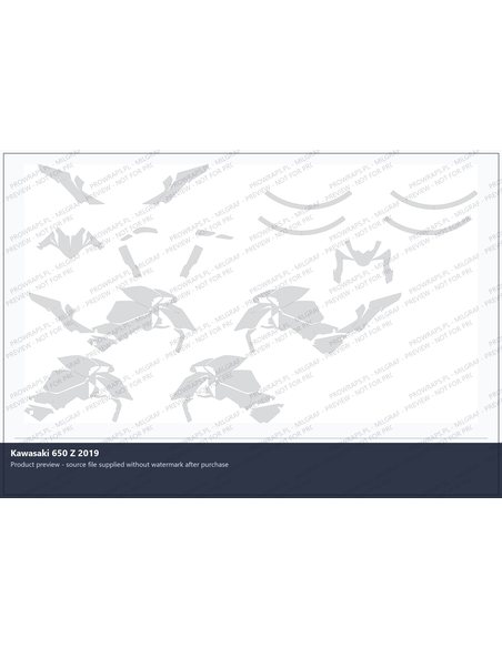 PPF Template - 2019 KAWASAKI 650 Z