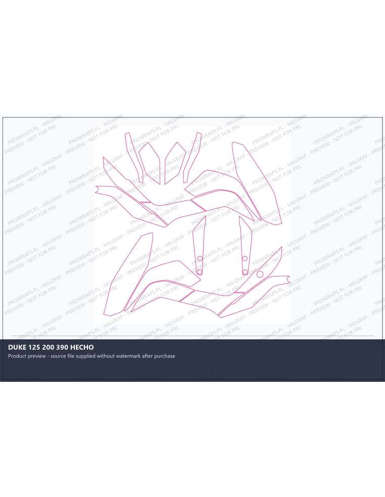 PPF Template - DUKE 125 200 390 HECHO