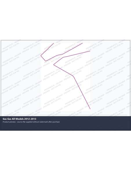 PPF Template - Gas Gas All Models 2012-2013
