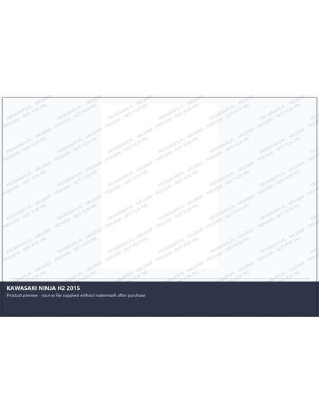 PPF Template - KAWASAKI NINJA H2 2015